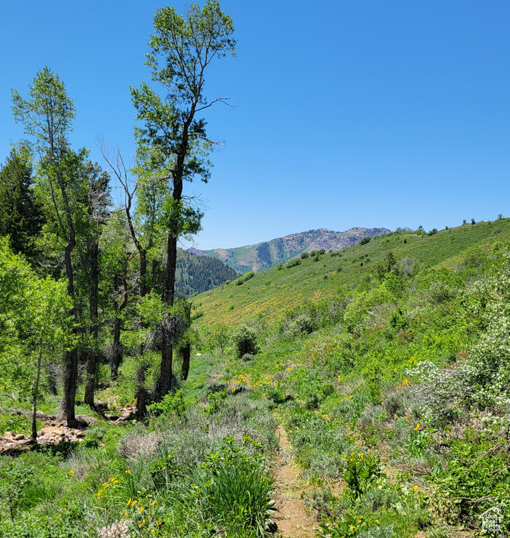 View of mountain backdrop