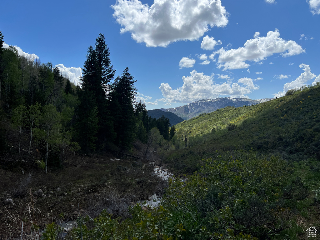 View of mountain backdrop featuring a forest