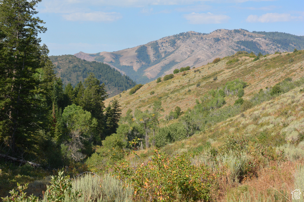 View of mountain background