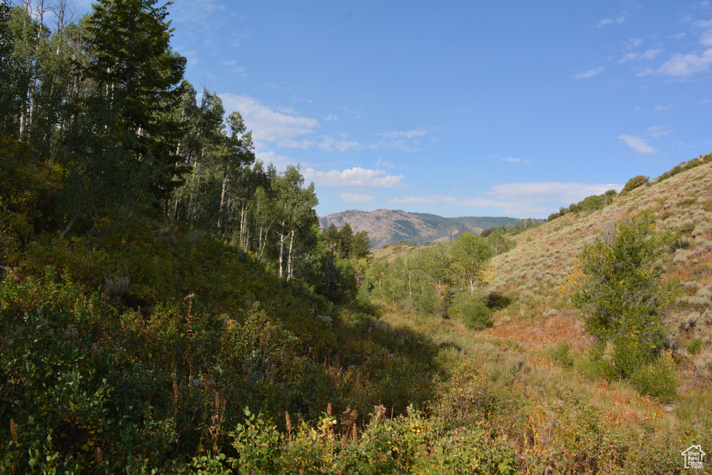 View of mountain backdrop