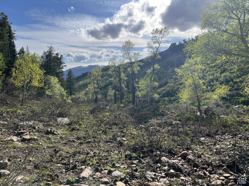 Mountain view