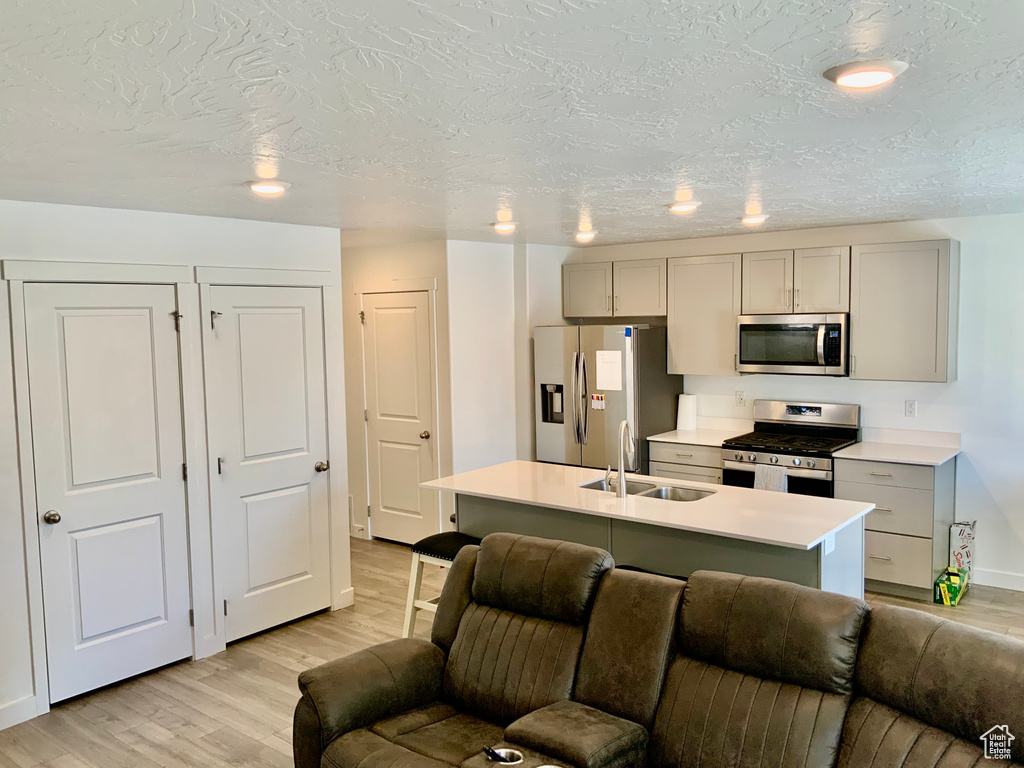 Kitchen with stainless steel appliances, open floor plan, gray cabinets, light countertops, and light wood finished floors
