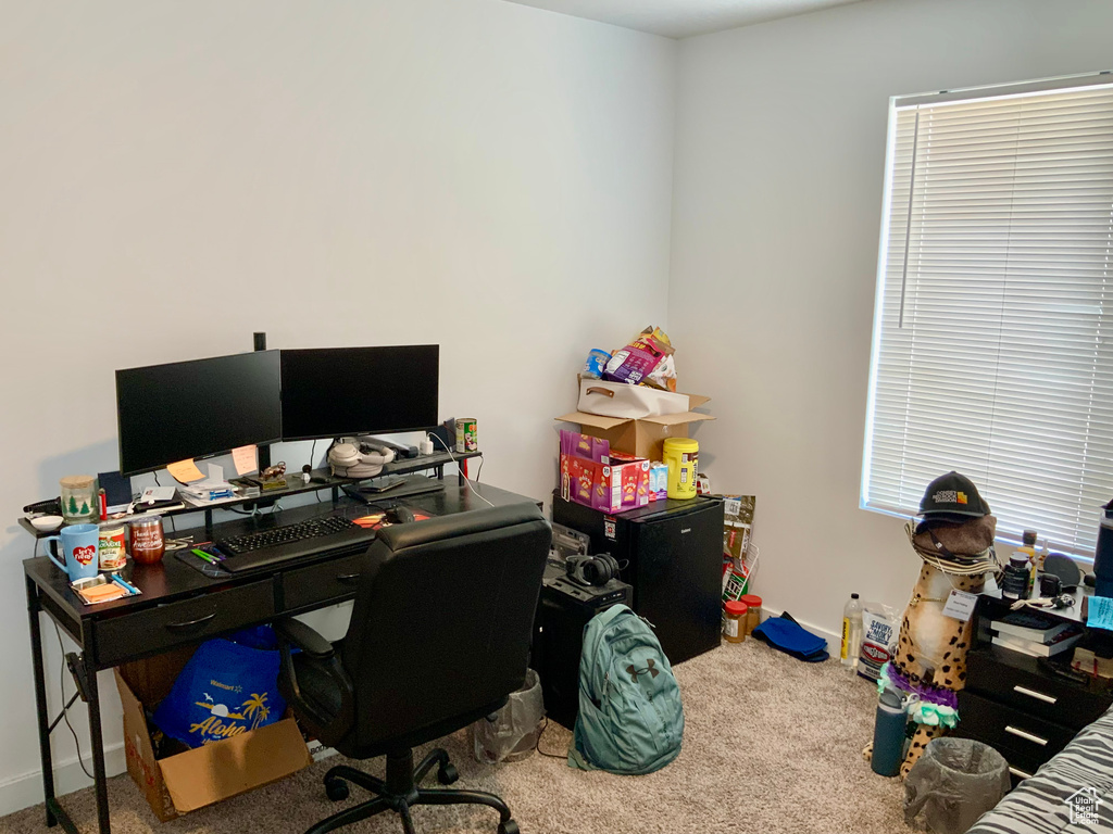 Home office featuring carpet