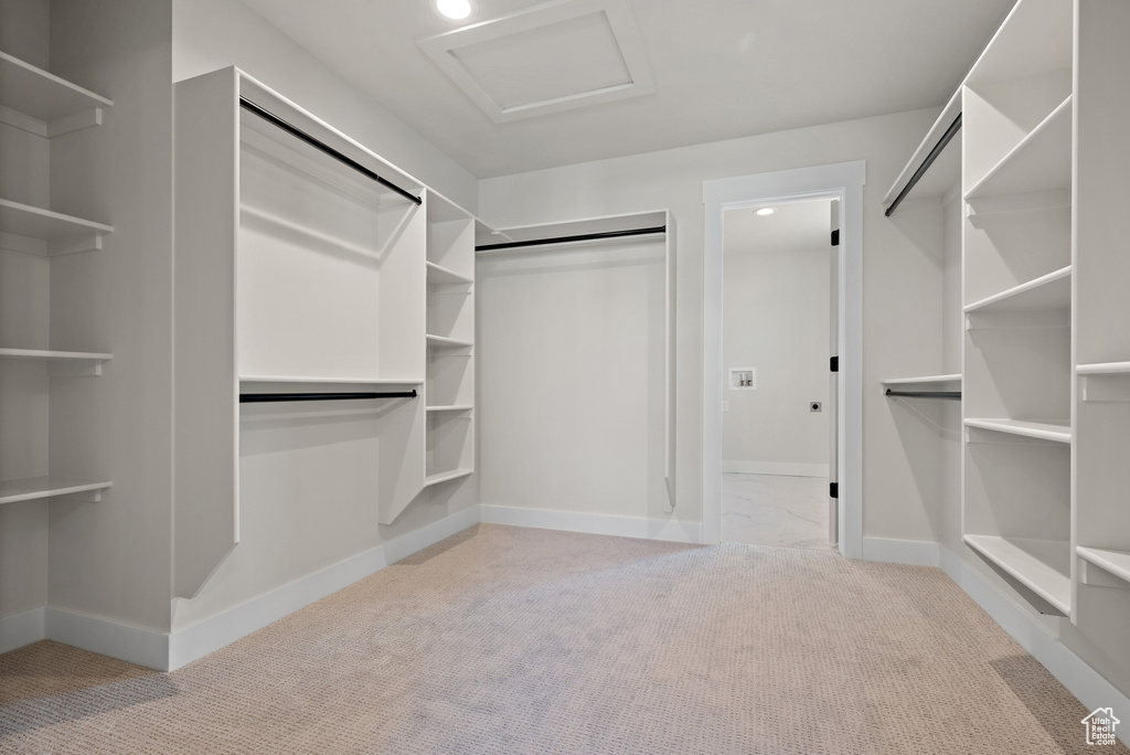 Spacious closet featuring carpet floors and attic access