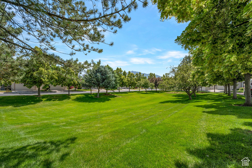 View of home's community featuring a mountain view and a lawn