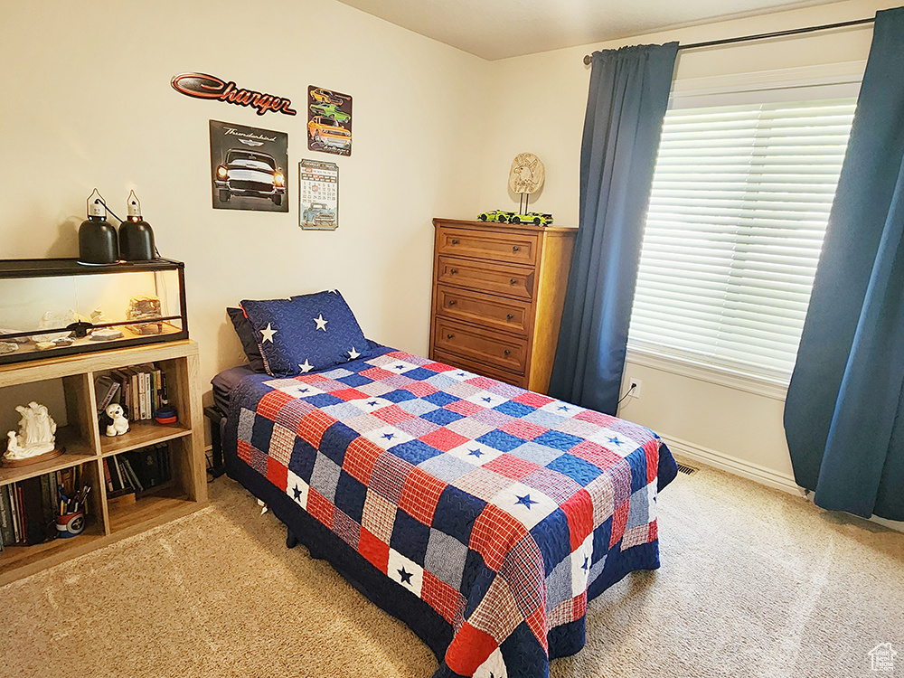 Carpeted bedroom featuring multiple windows