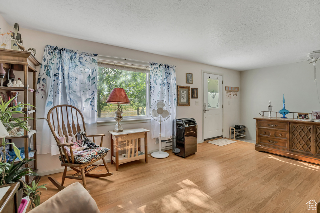 Living area with a textured ceiling, light wood finished floors, and a ceiling fan