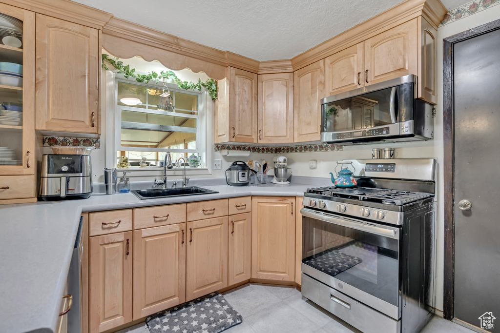 Kitchen with appliances with stainless steel finishes, light brown cabinets, light countertops, and a textured ceiling
