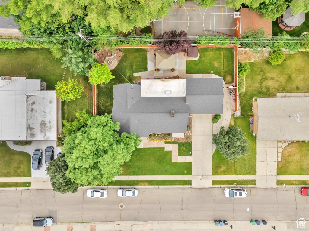 Bird\'s eye view