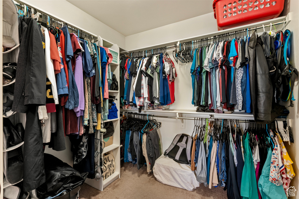 Walk in closet featuring carpet