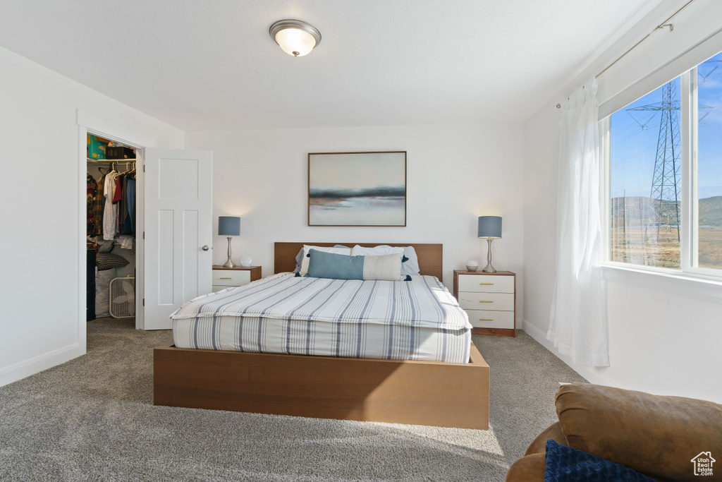 Bedroom featuring carpet floors, a spacious closet, baseboards, and a closet