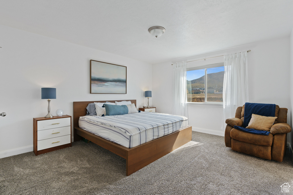 Bedroom featuring carpet, baseboards, and a mountain view