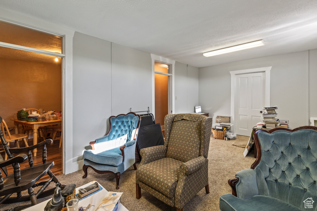 Living area with carpet floors