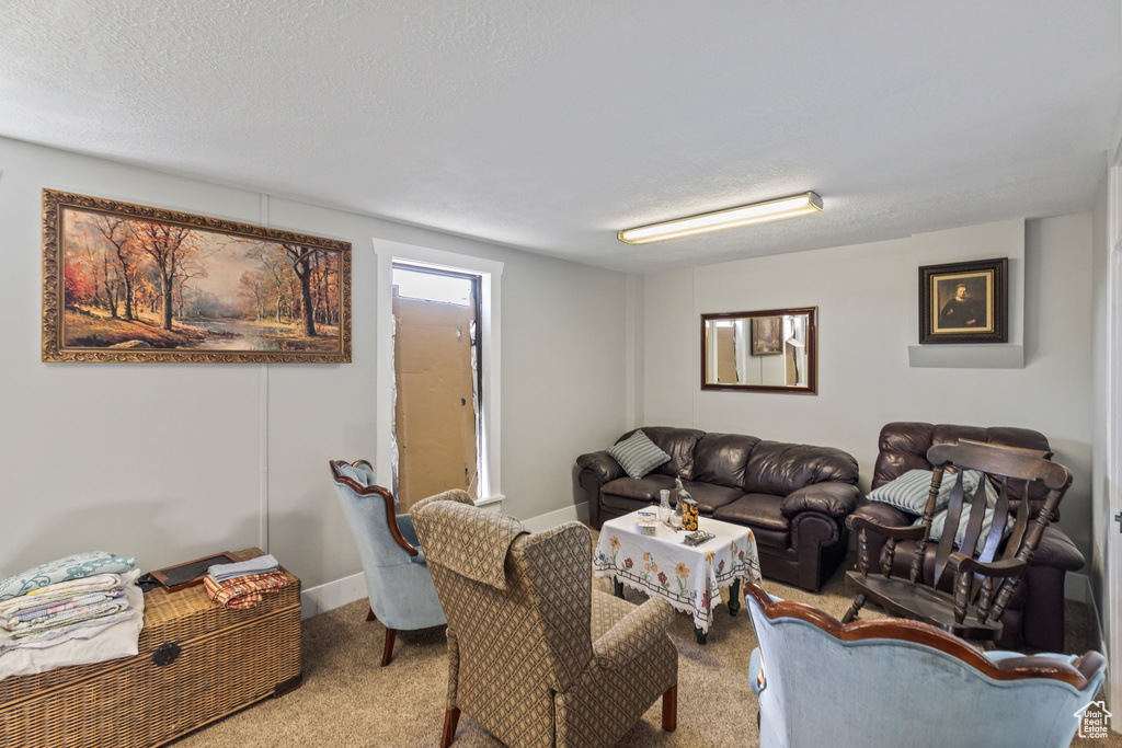 Living area with carpet and a textured ceiling