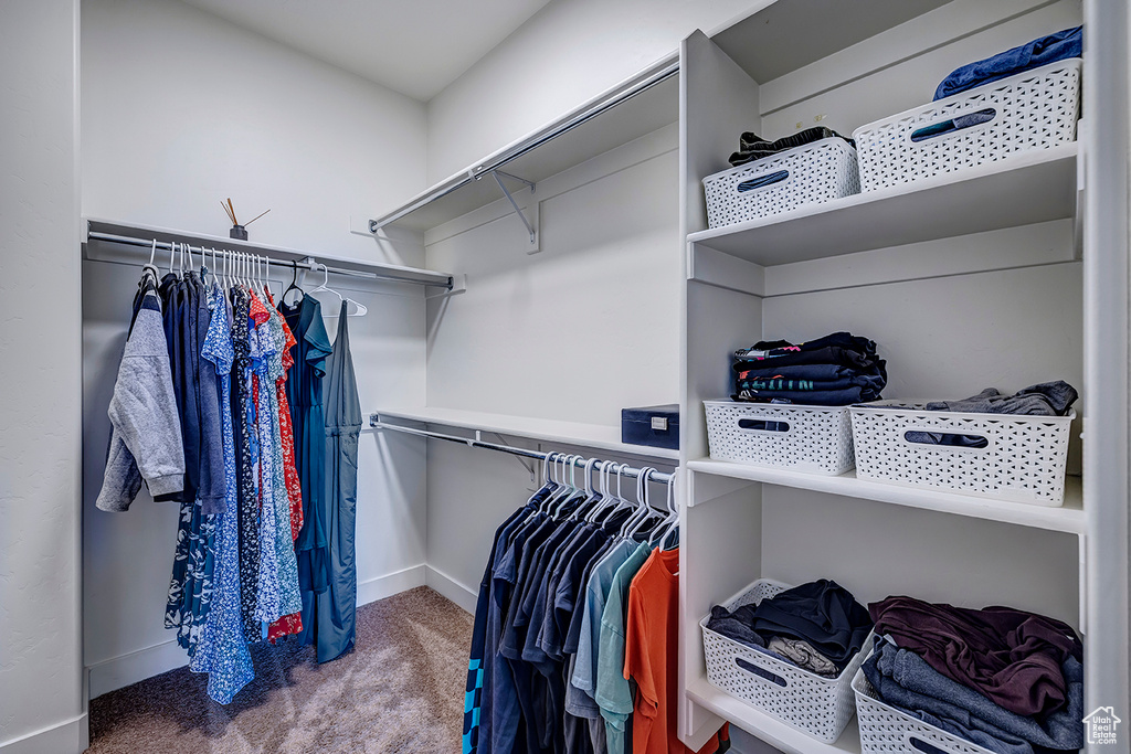 Walk in closet featuring carpet
