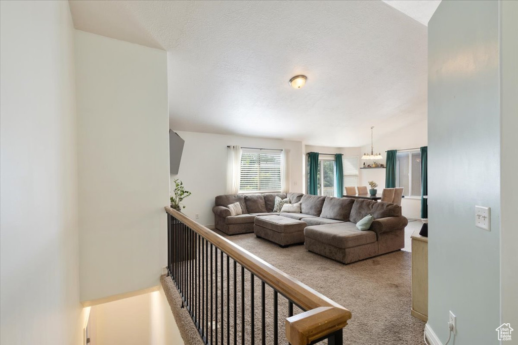 Living area featuring carpet