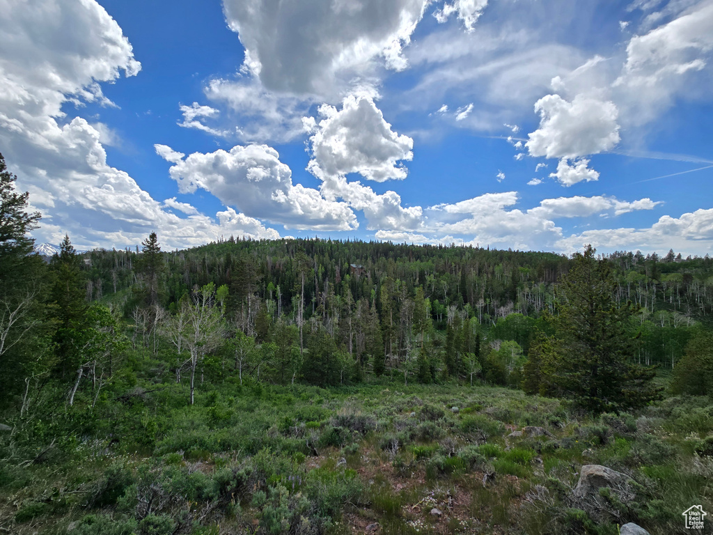 Mountain view with a forest