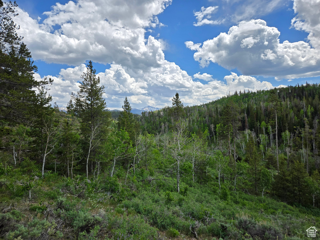 View of mountain background featuring a forest