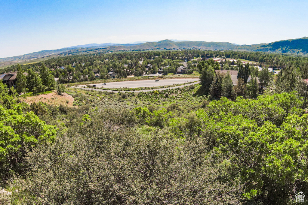 Bird\\\'s eye view of mountains and a forest