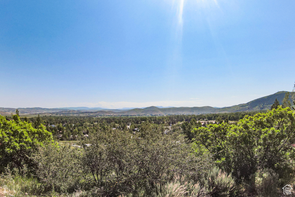View of mountain backdrop with a heavily wooded area