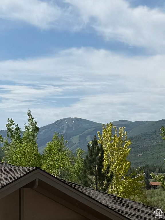 Mountain view