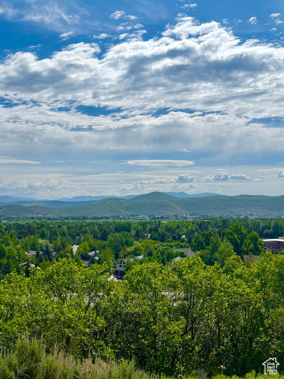 View of mountain background with a heavily wooded area