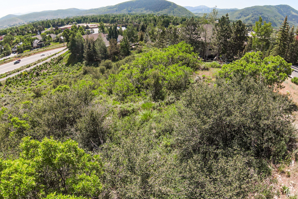 View of mountain background