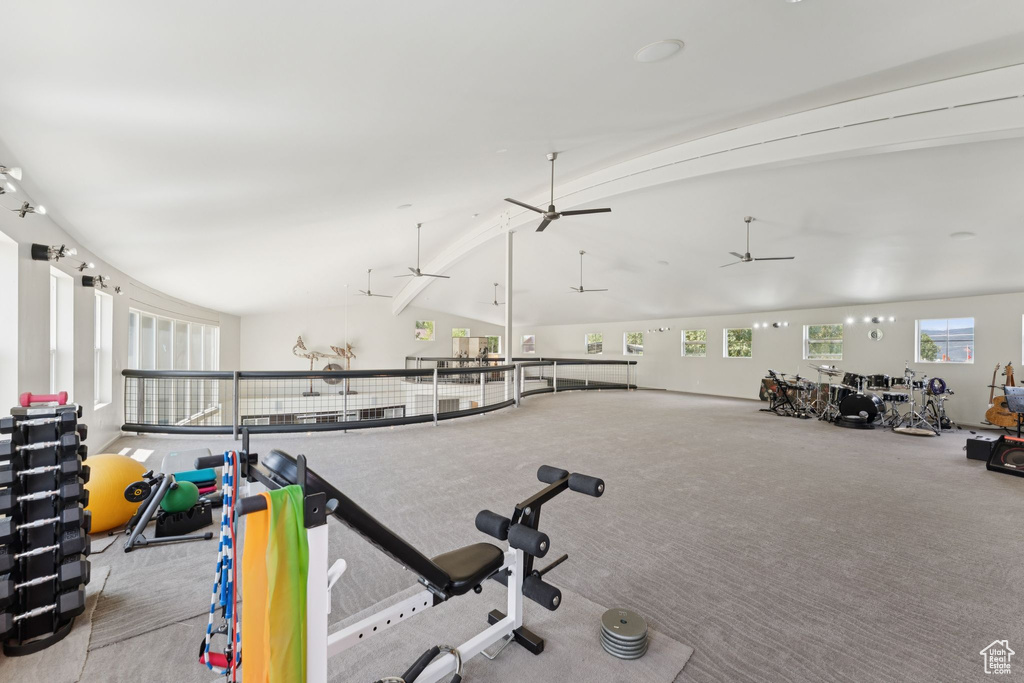 Workout area with healthy amount of natural light, a ceiling fan, and carpet flooring