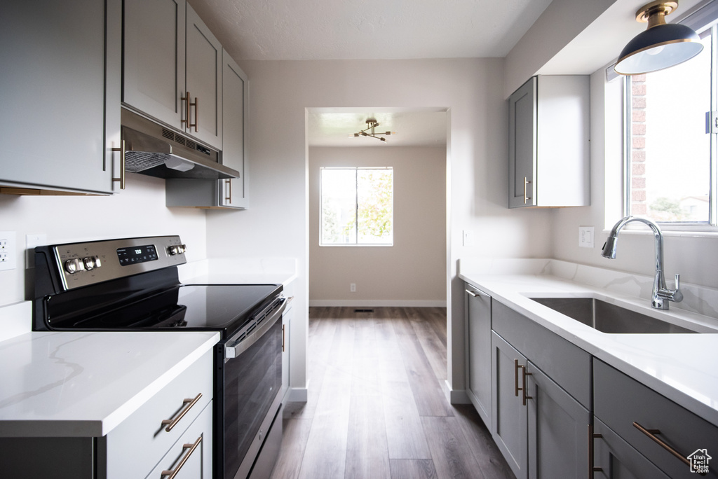 Kitchen with stainless steel range with electric stovetop, under cabinet range hood, a sink, gray cabinets, and wood finished floors