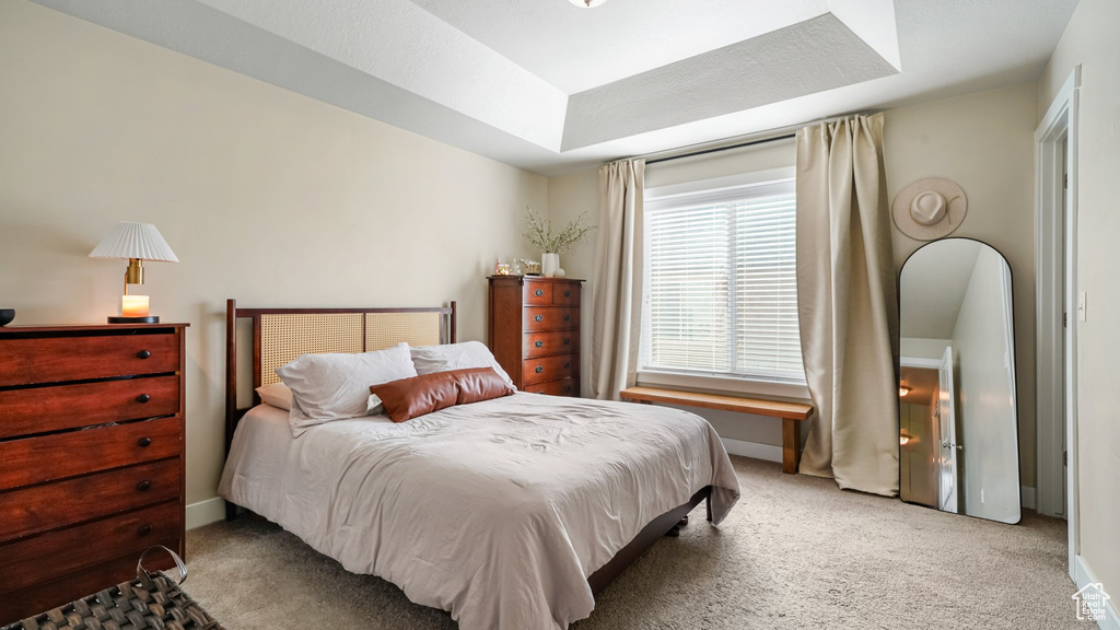 Bedroom featuring light colored carpet, baseboards, and a raised ceiling