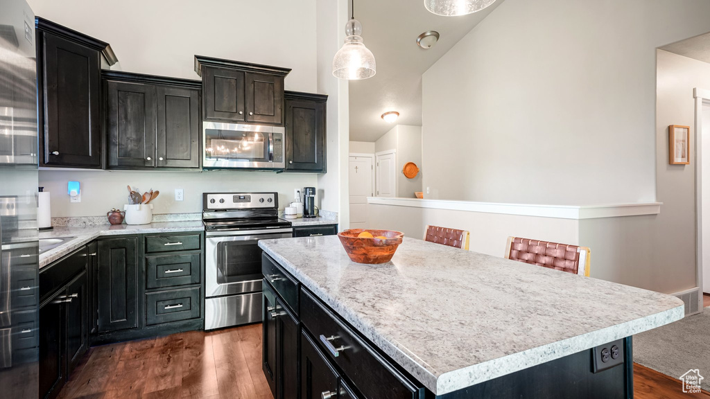 Kitchen featuring stainless steel appliances, dark cabinets, and dark wood-type flooring