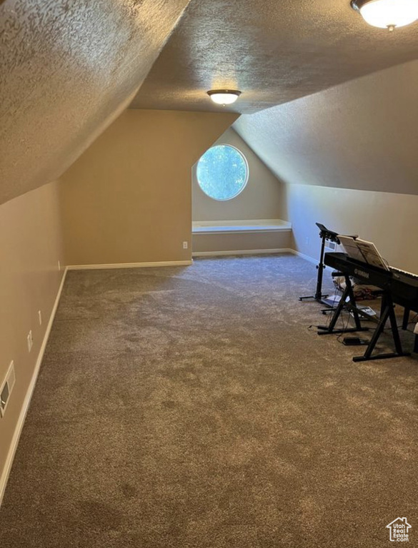 Additional living space featuring a textured ceiling, carpet flooring, and lofted ceiling