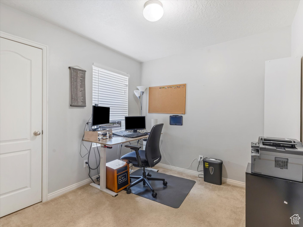 Office space featuring carpet flooring