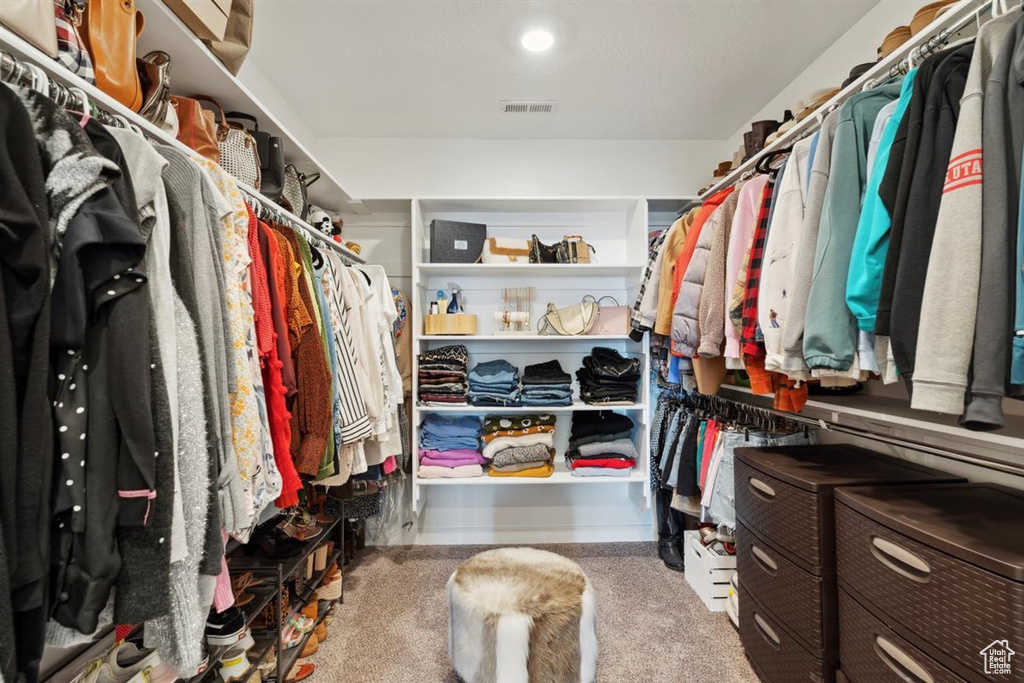 Spacious closet featuring carpet flooring