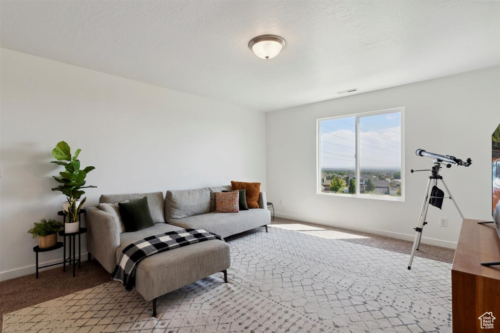 Living area with light carpet
