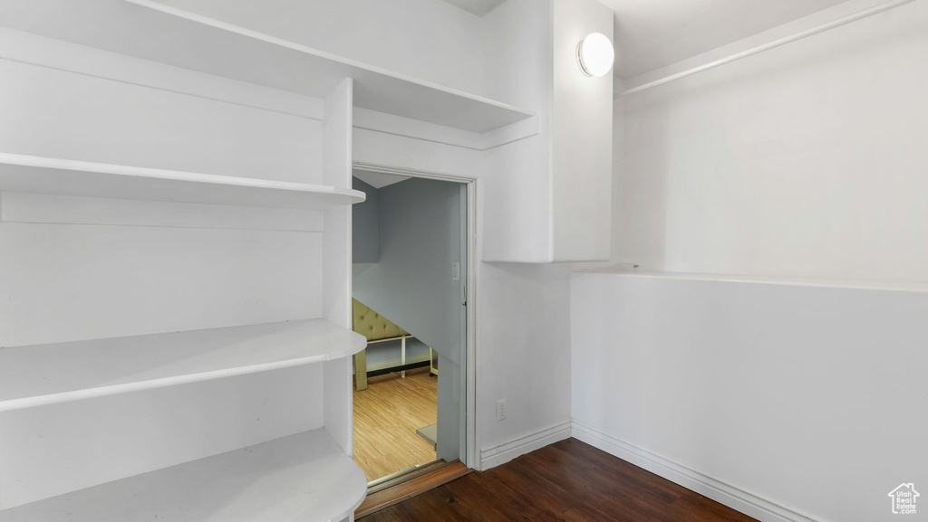 Spacious closet featuring dark wood-style floors