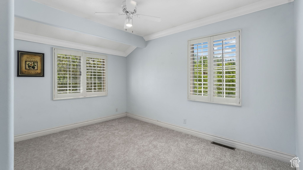 Unfurnished room with carpet flooring, ceiling fan, and ornamental molding