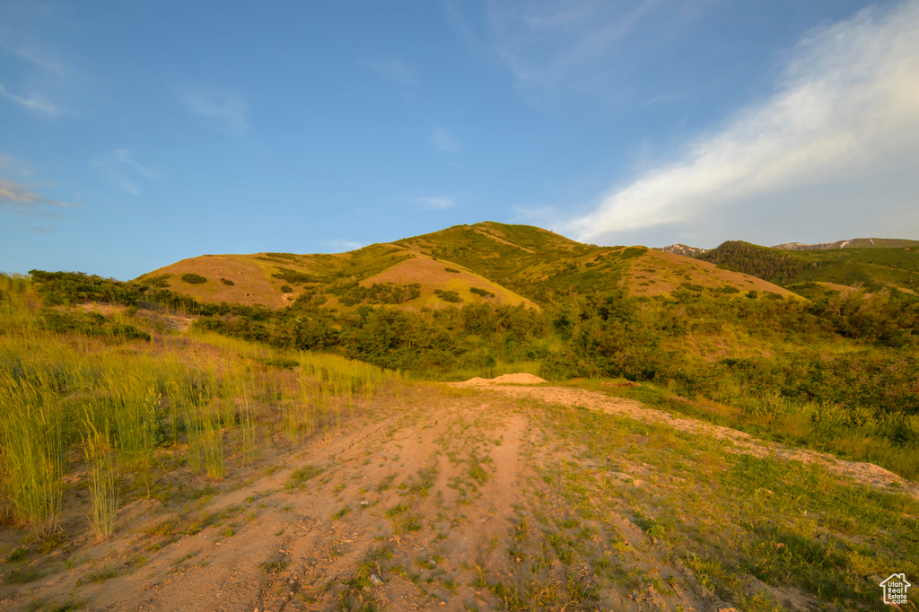 View of mountain background