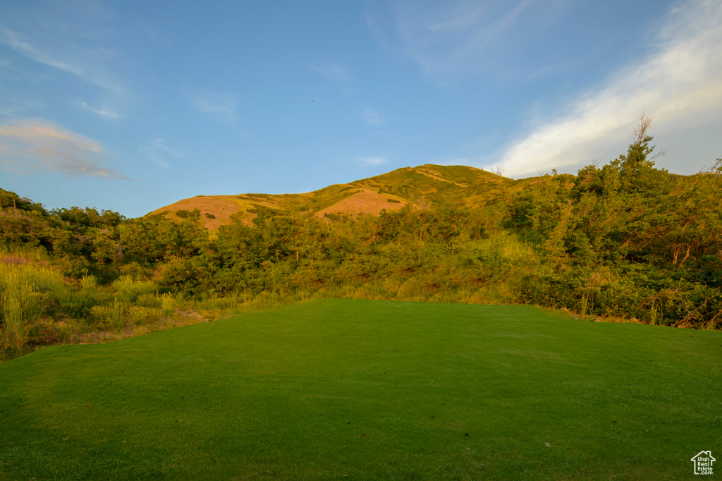 Mountain view