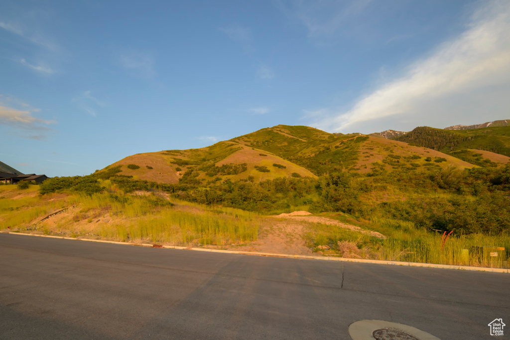 View of mountain background
