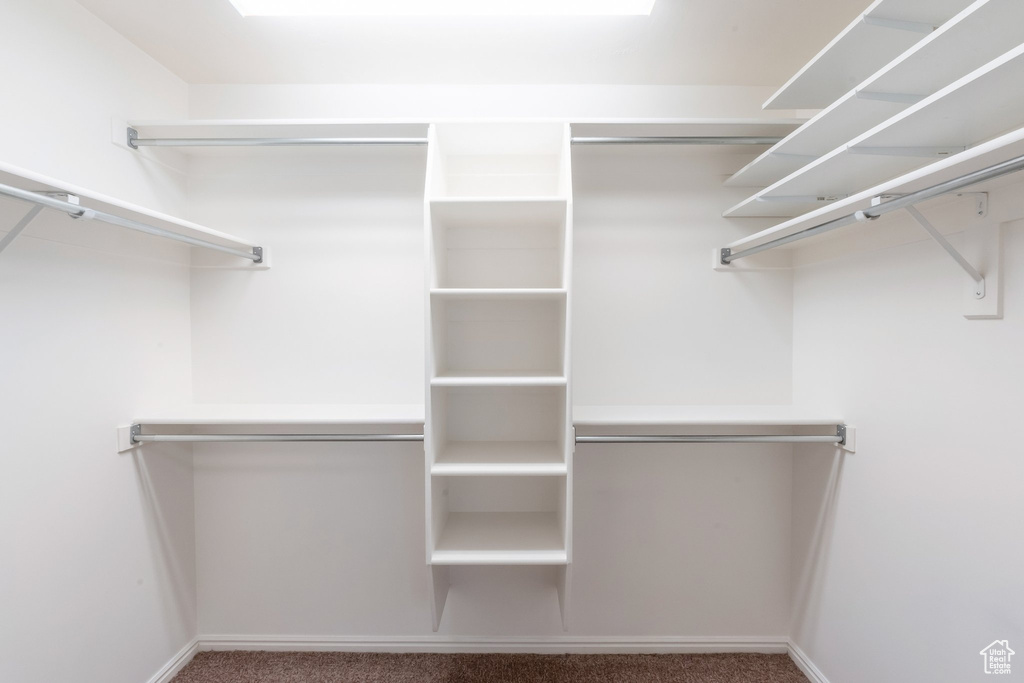 Walk in closet with carpet
