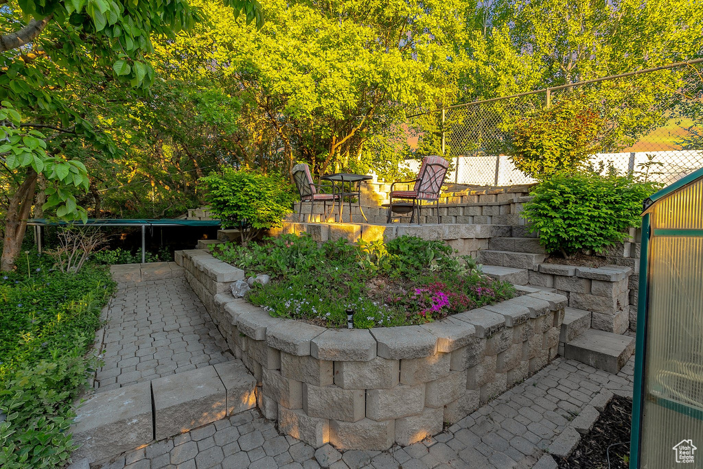 View of yard featuring a patio area