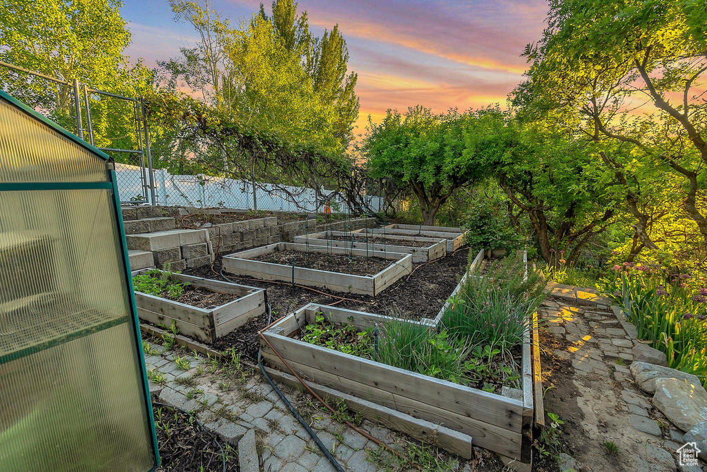 Yard at dusk with a garden