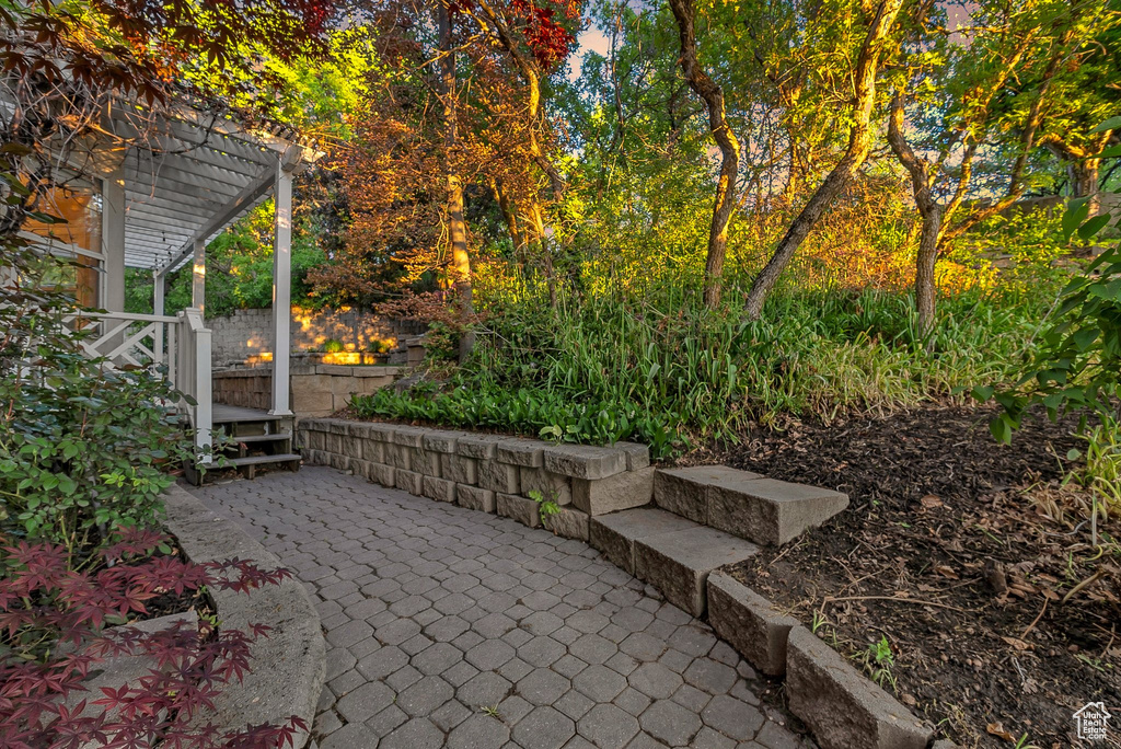 View of patio / terrace featuring a pergola