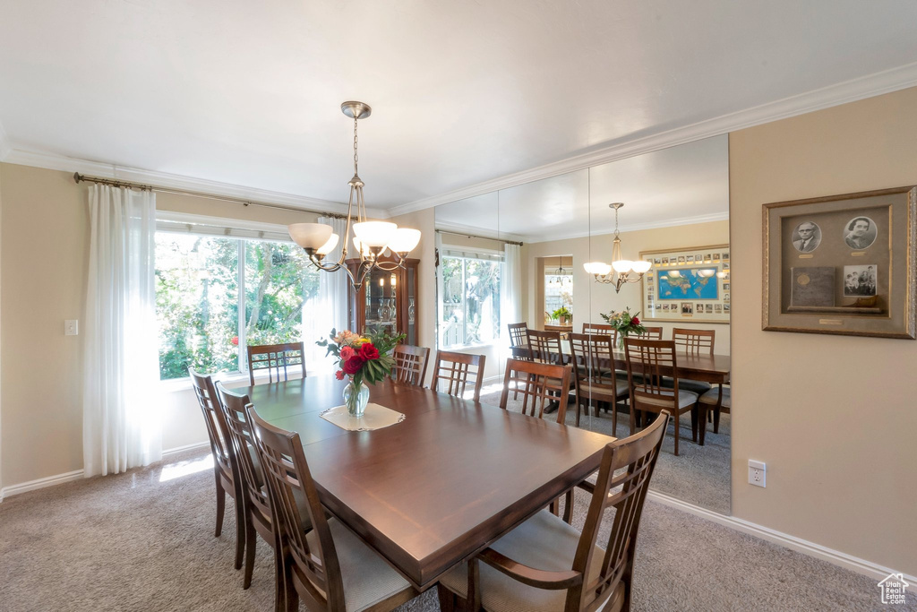 Dining room with a chandelier, carpet floors, and ornamental molding