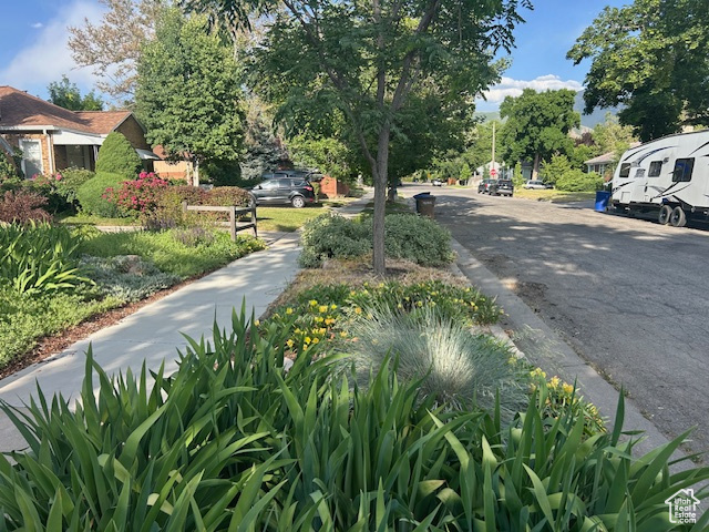 View of asphalt road