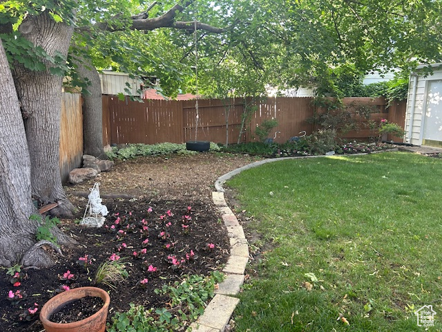 View of fenced backyard