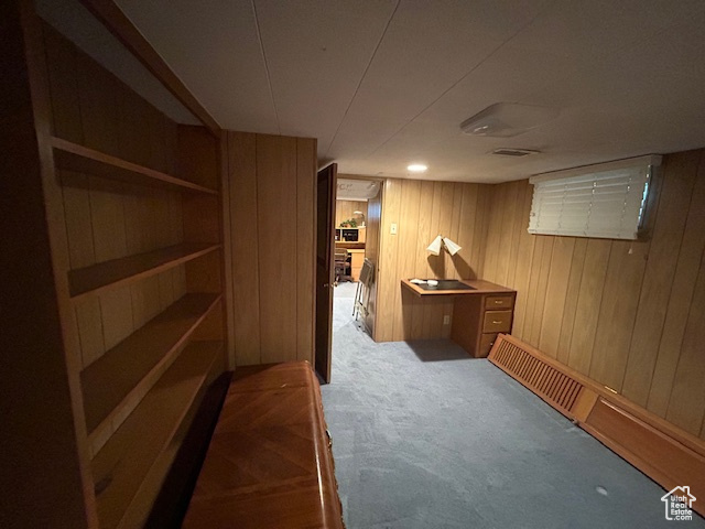 Interior space featuring carpet floors and wooden walls
