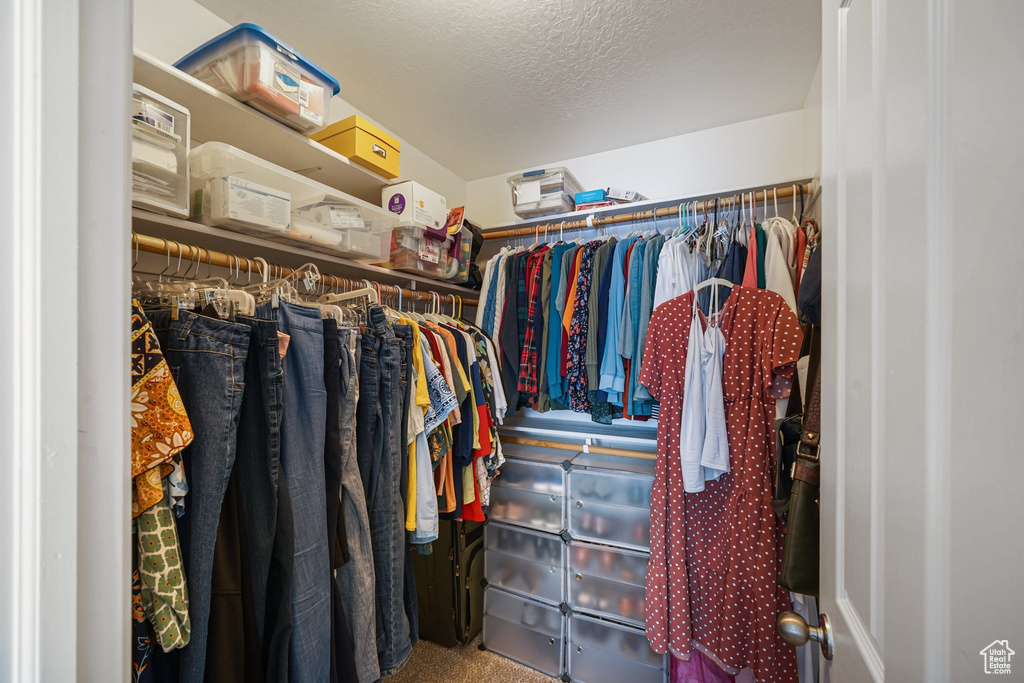 View of walk in closet