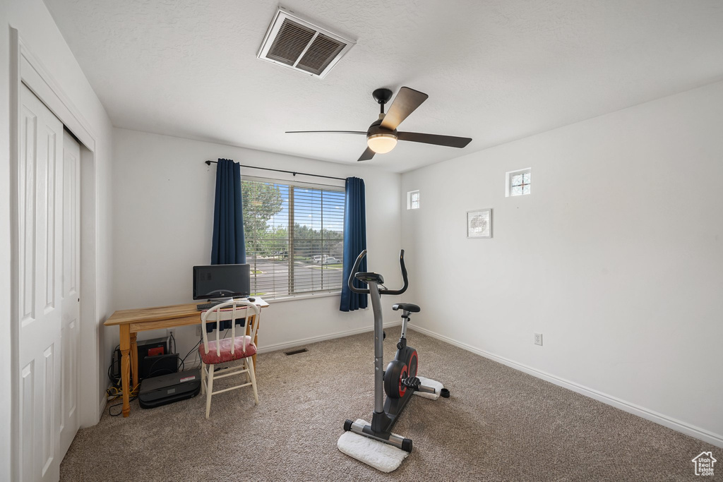 Exercise area with carpet flooring and a ceiling fan